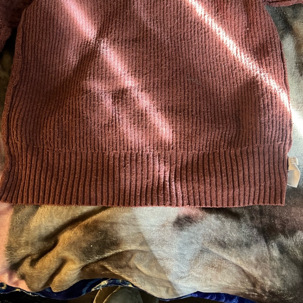 Express Rust Knit Sweater